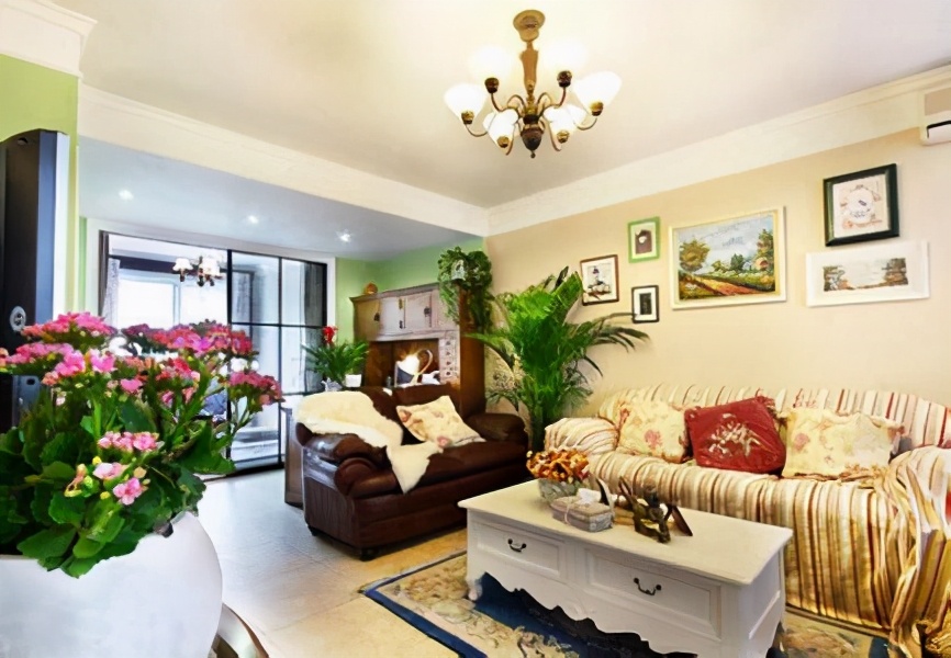 室内光线不好适合种什么,客厅采光不好养什么植物