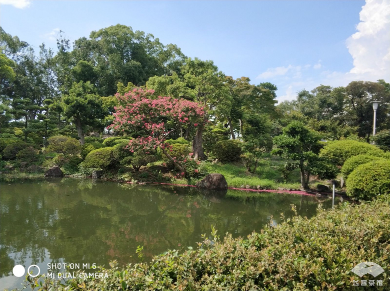 国航白金卡头等舱,国航白金卡选座