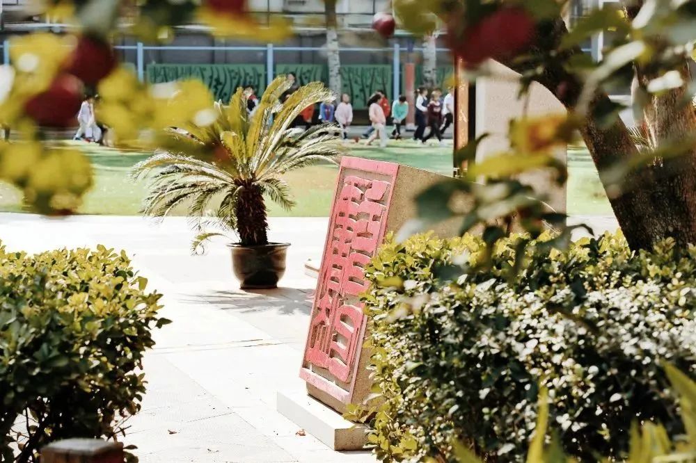 北京所有小学排名一览表,北京30所小学排名一览表