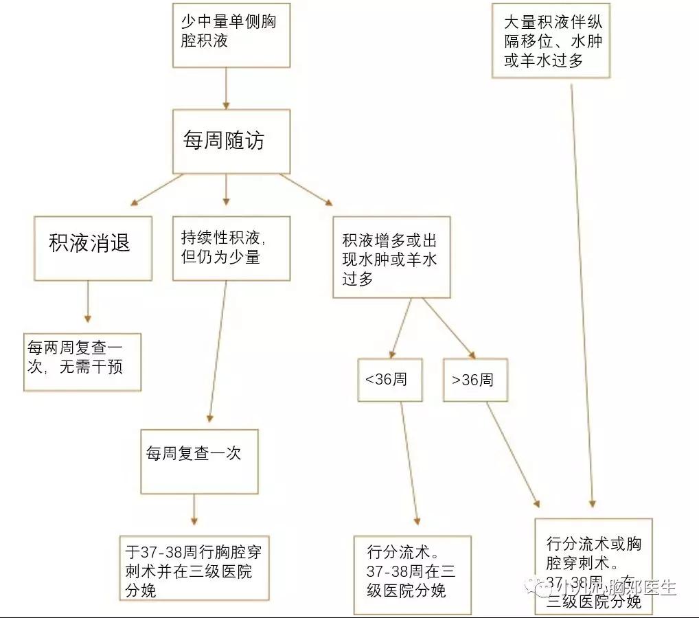 胎儿胸腔积液怎么办,36周胎儿胸腔积液