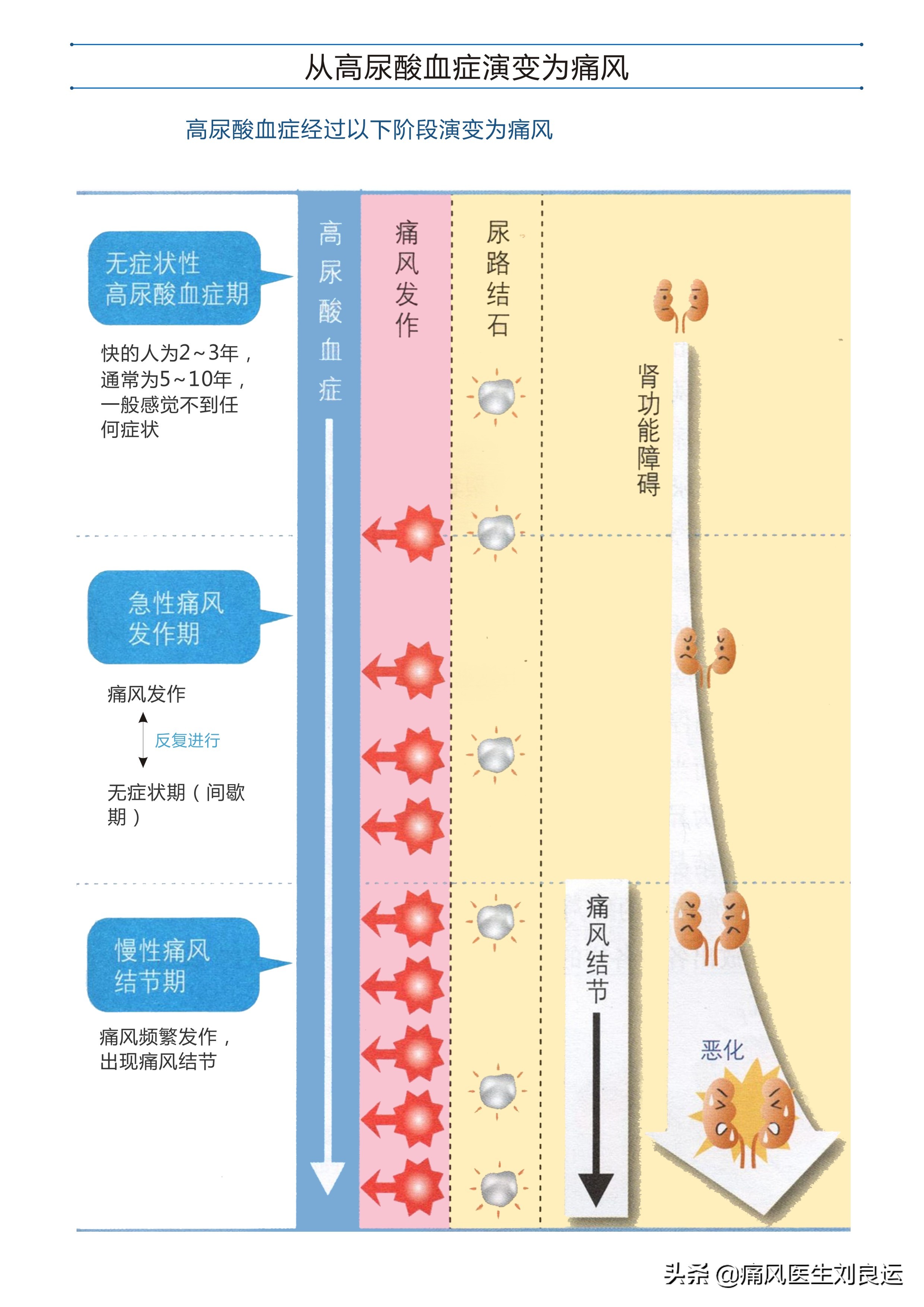 痛风降尿酸吃什么食物最快,痛风怎么吃才能降尿酸