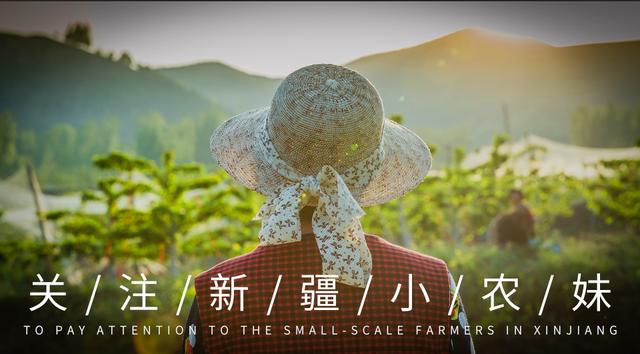 公司养锦鲤有什么讲究,做生意的人适合养几条鱼