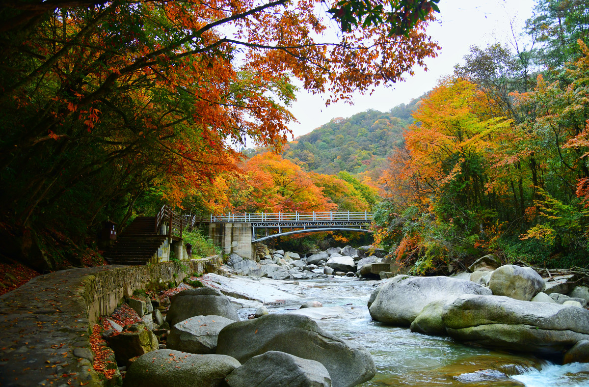 巴中光雾山红叶的最佳时间,红叶谷打卡地