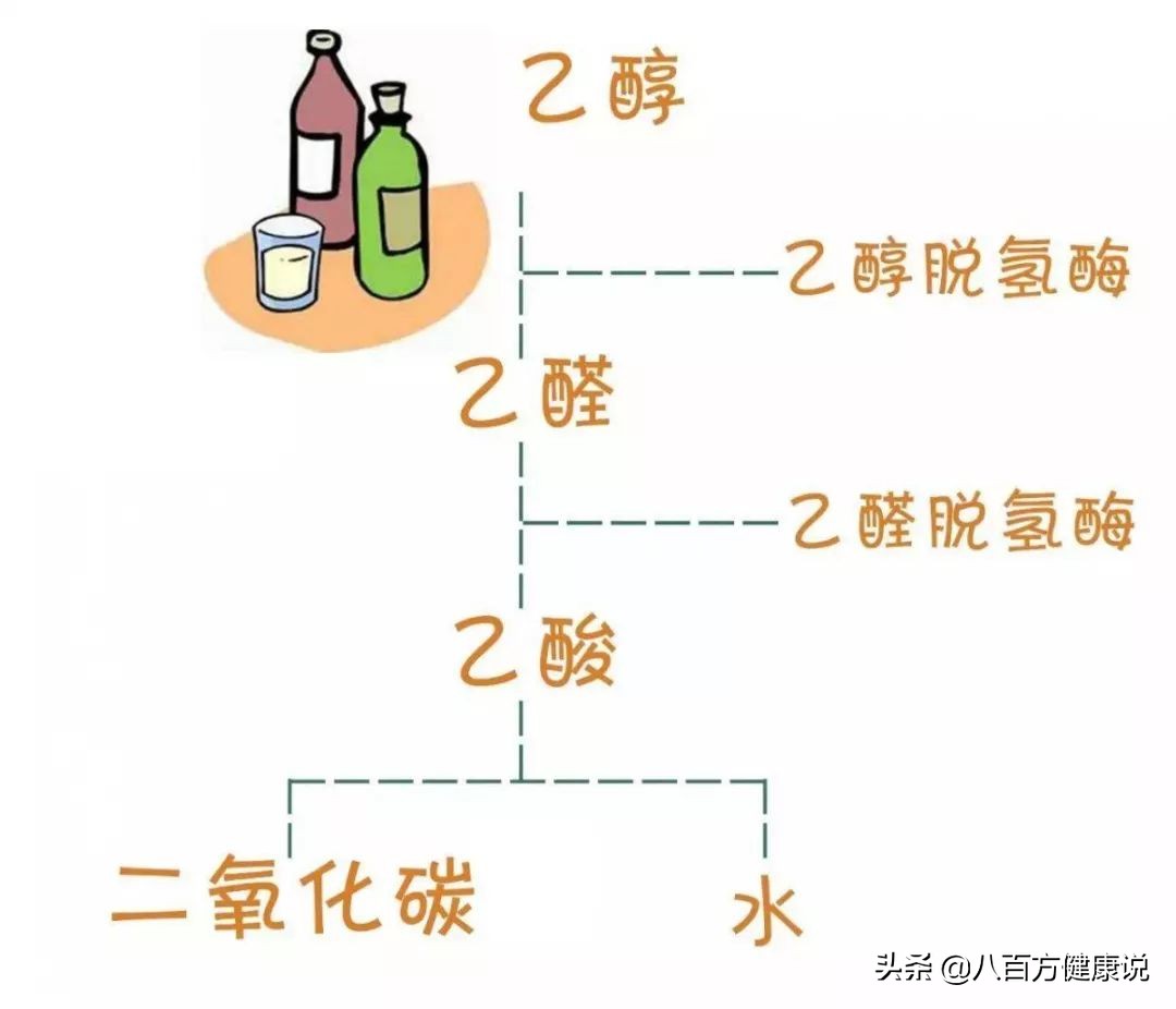 喝酒脸红是不适合喝酒吗,喝酒脸红是酒量好吗