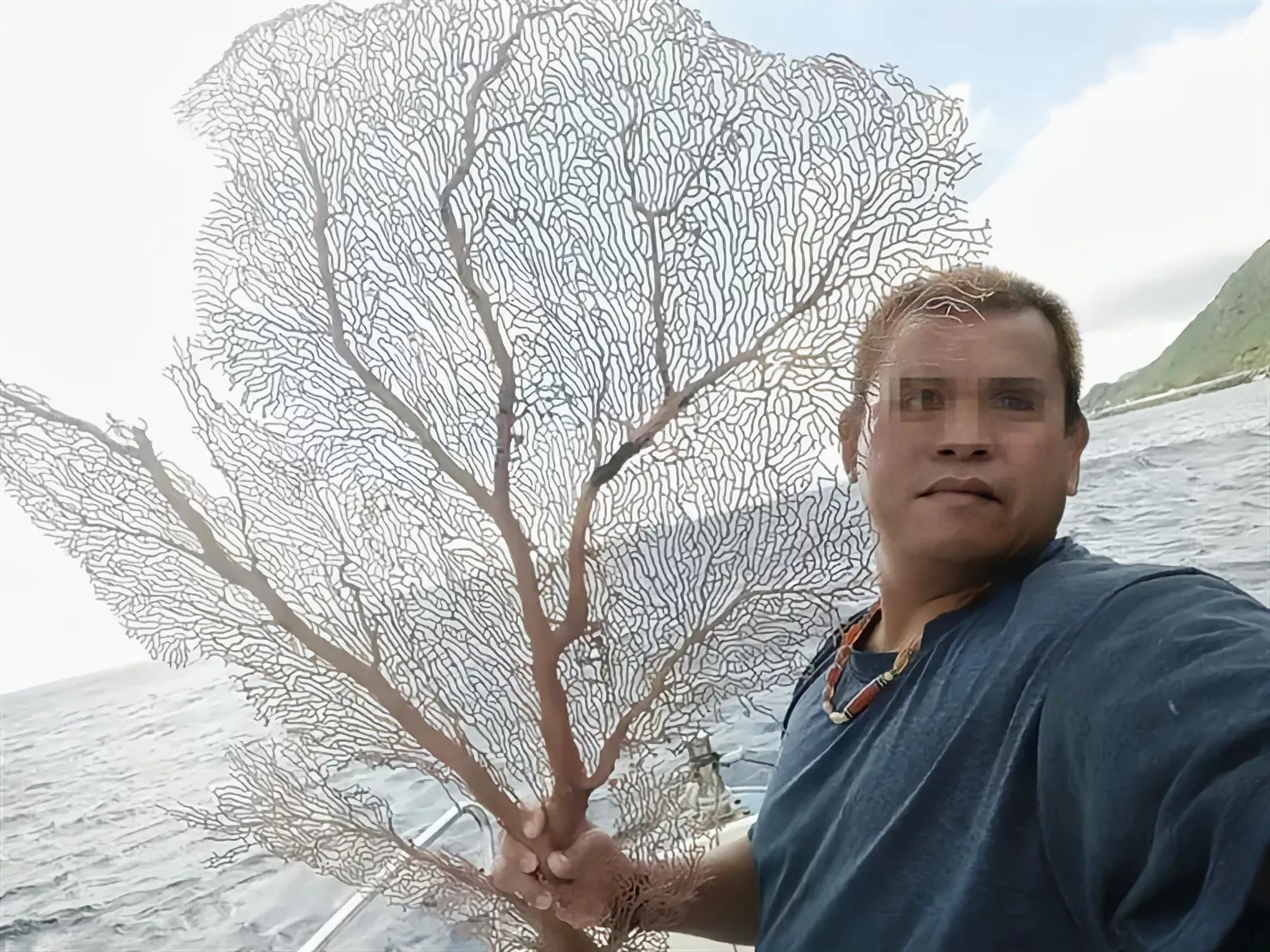 价值上百万!台湾渔*意民**外钓获红珊瑚,谁知竟受国家一级保护