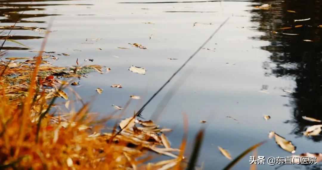 二十四节气中医养生茶,二十四节气道家功法