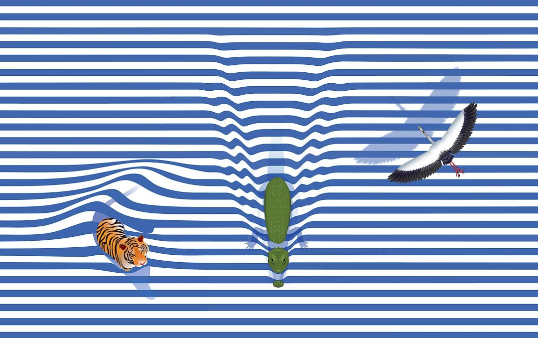 泰国创意包装,泰国包装风格