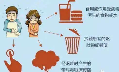 防控诺如病毒学校应该这样做,诺如病毒感染暴发调查和防控指南