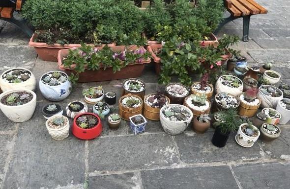 花盆改造多肉花盆,罐子多肉花盆改造