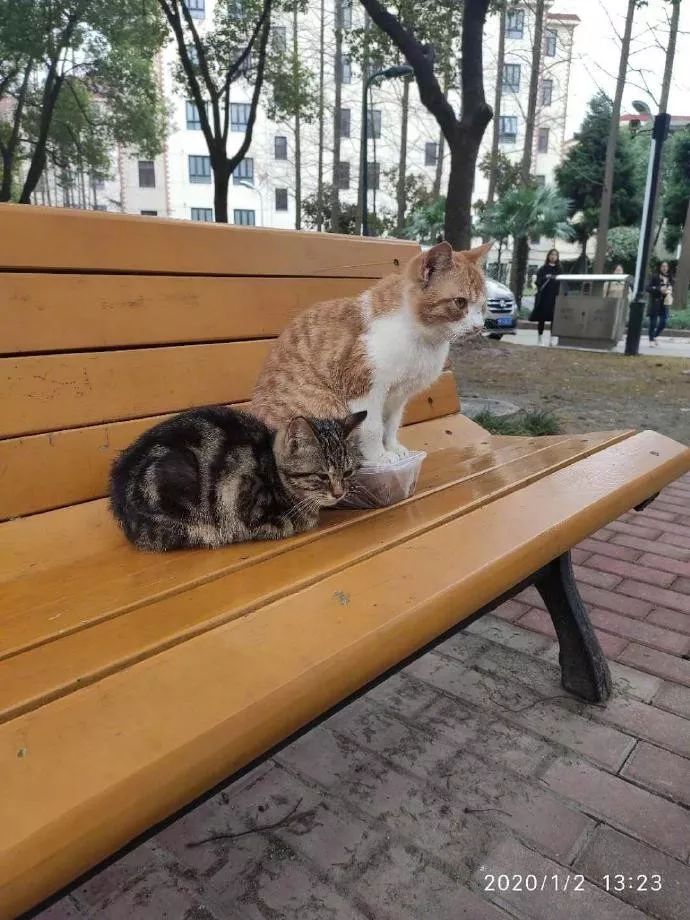 学生爆笑表情包,大学生打招呼幽默表情包