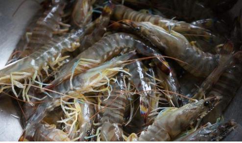 吃几十年才晓得,虾不能直接加水煮,掌握一招,肉质鲜嫩更营养