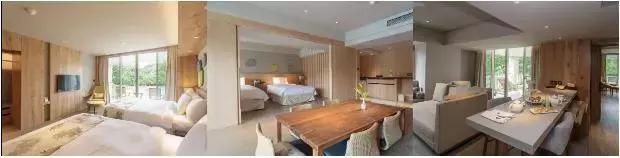 帕劳旅游攻略自由行路线推荐,帕劳旅游攻略全过程