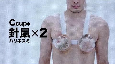 一个正经的问题：不同*杯罩**的「乳房」有多重？