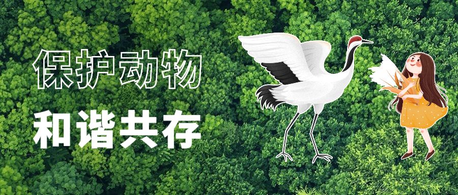 贩卖野生一级保护动物判多少年,警方严查野生动物犯法吗