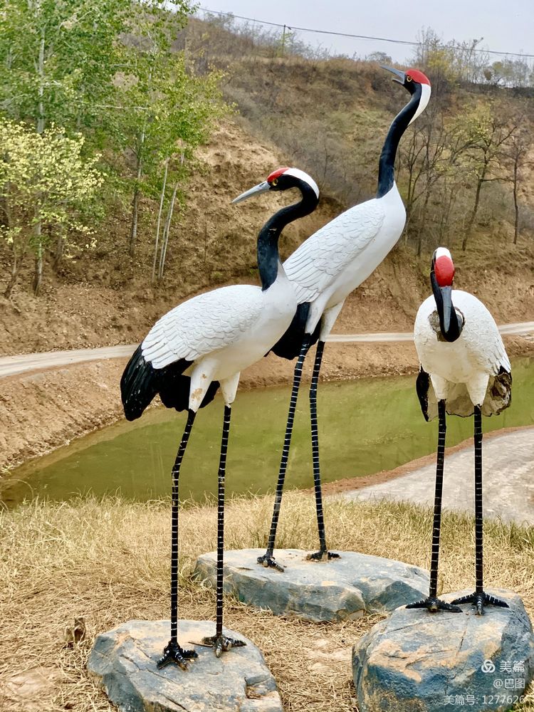 洛阳市宜阳凤凰岭射箭,宜阳县凤凰岭体育基地