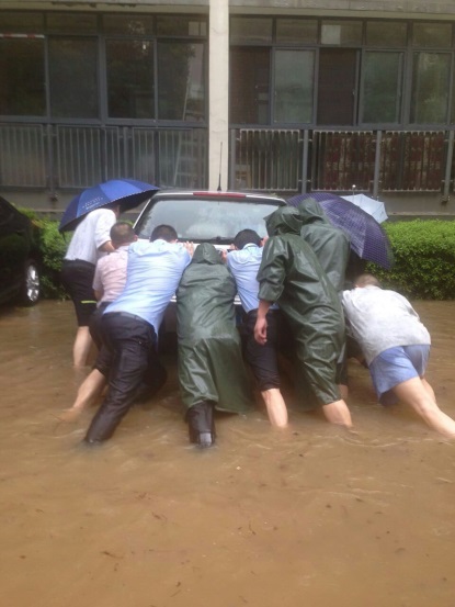 金地格林小城生活,金地格林小城花园