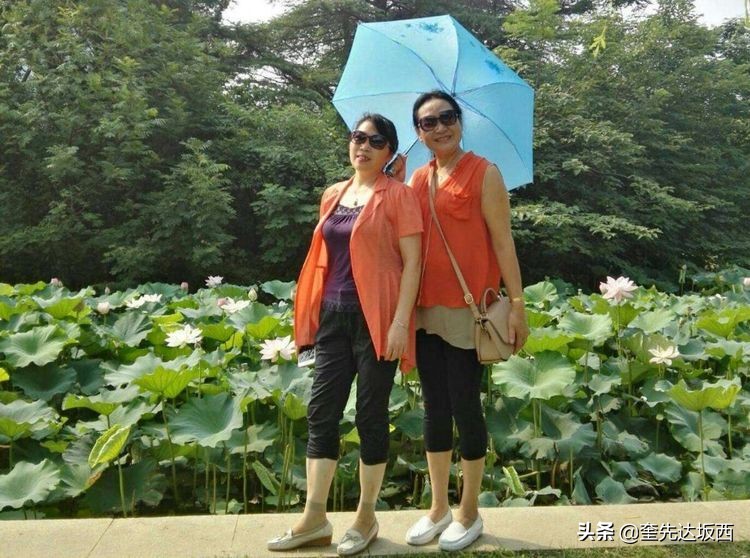 莲叶无穷碧映日荷花别样红全文,接天莲叶无穷碧映日荷花别样红