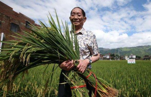 袁隆平狂飙四川话,袁隆平飚长沙话
