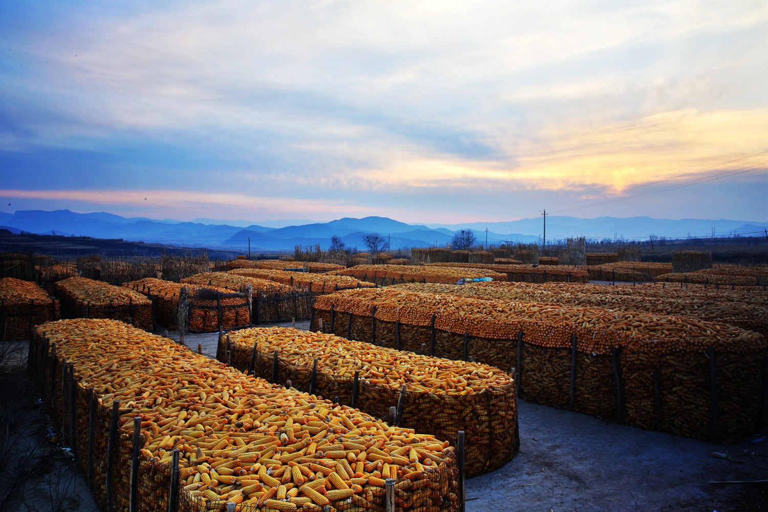 丰收快乐节,农民丰收节唱出丰收喜悦