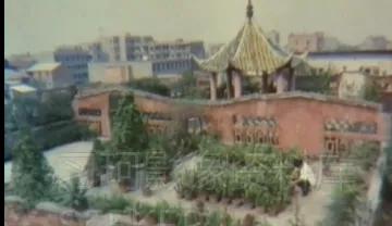 沙市为什么叫小上海,80年代的沙市