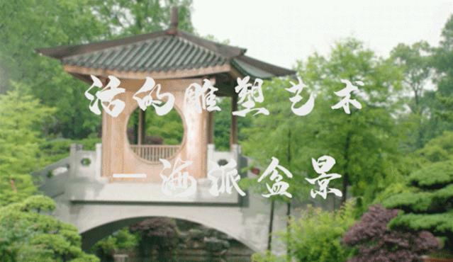 时光烙印非遗之美,非遗之旅让人潮起来