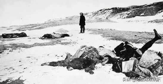 丹麦水貂为什么染新冠病毒,丹麦水貂新冠