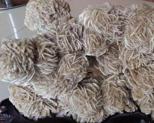 沙漠中看到石头为啥要捡,沙漠上的石头有必要捡吗