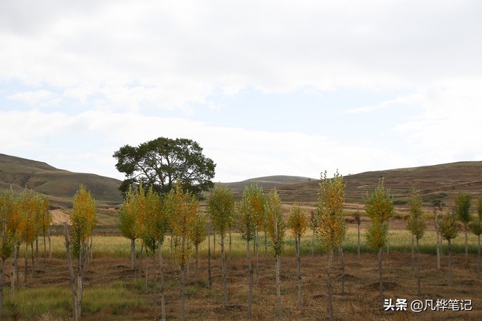 用滤镜在前期控制完美光比,让影像呈现更趋完美