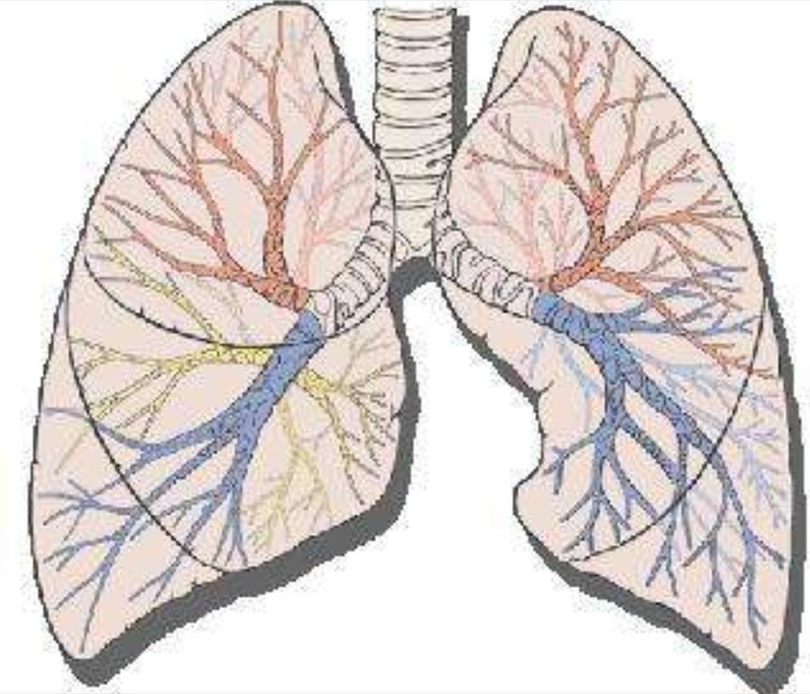 全麻引起的咳嗽咳痰怎么治疗,全麻手术后咳痰带血怎么回事