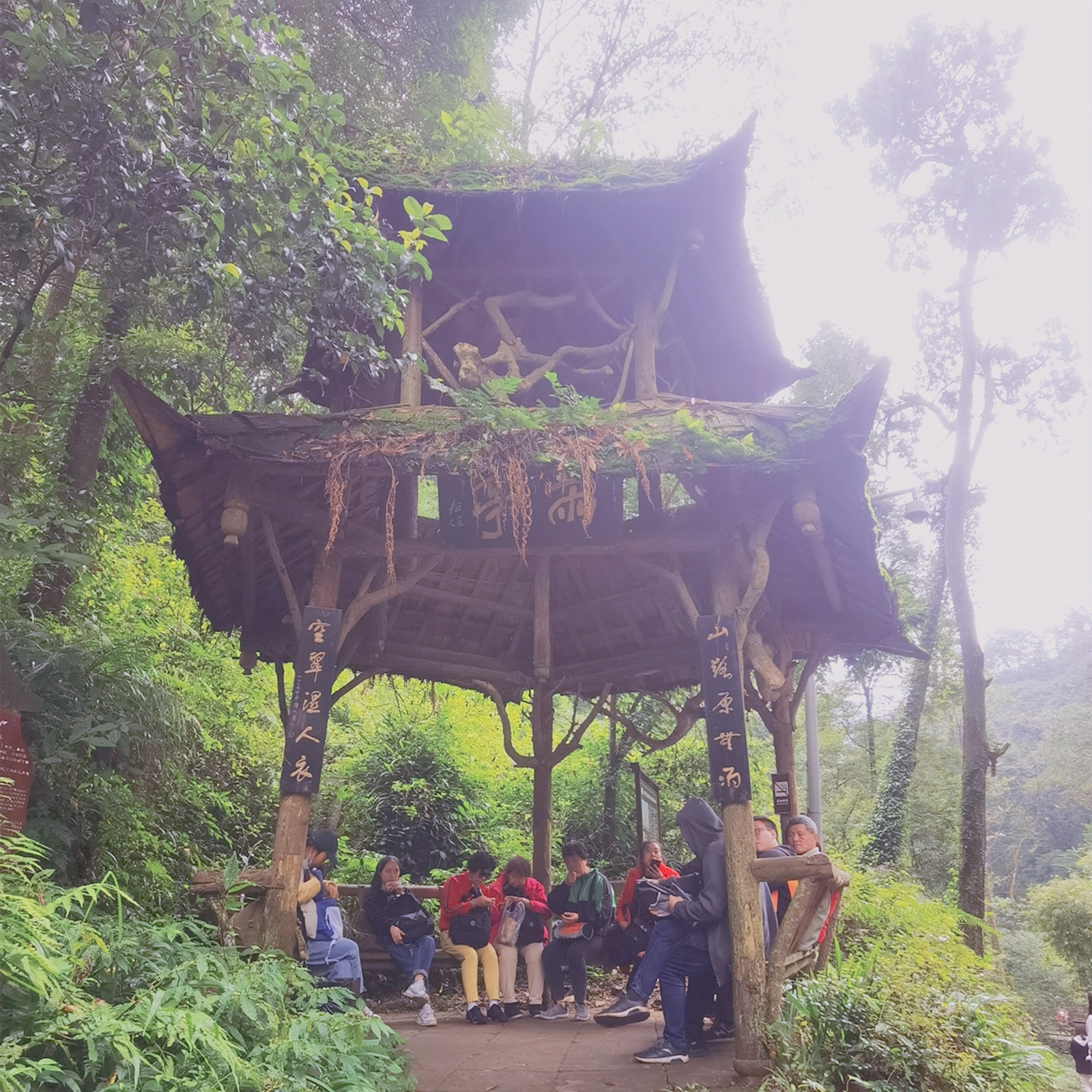 青城山为何成为了道教名山,青城山是鬼城吗