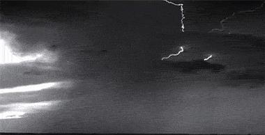 550只羊被雷劈死后续,550只羊被雷劈死原因