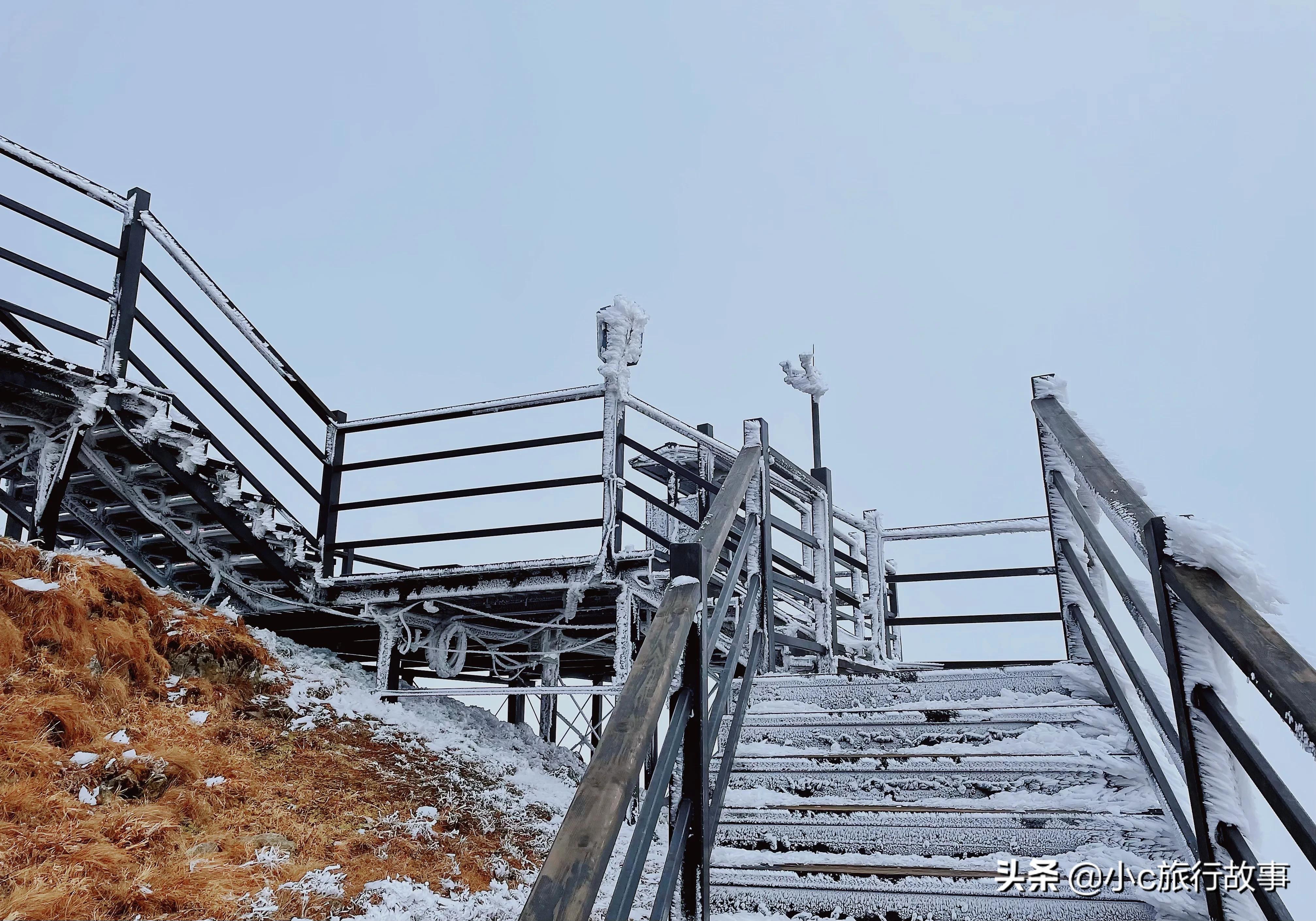 昆明轿子雪山景点春节开放吗,昆明附近旅游景点推荐轿子雪山
