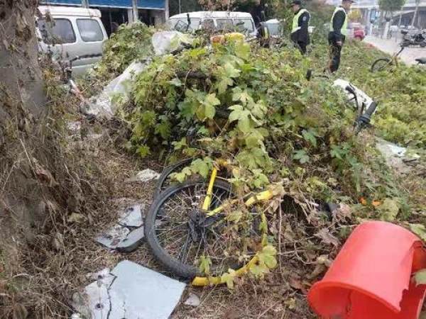 新郑婚礼爆炸事件,郑州新郑爆炸新闻最新