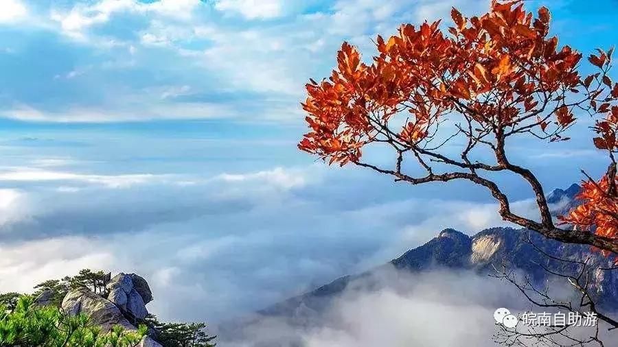 安徽赏秋的好乡村,安徽秋天去哪里赏秋最好