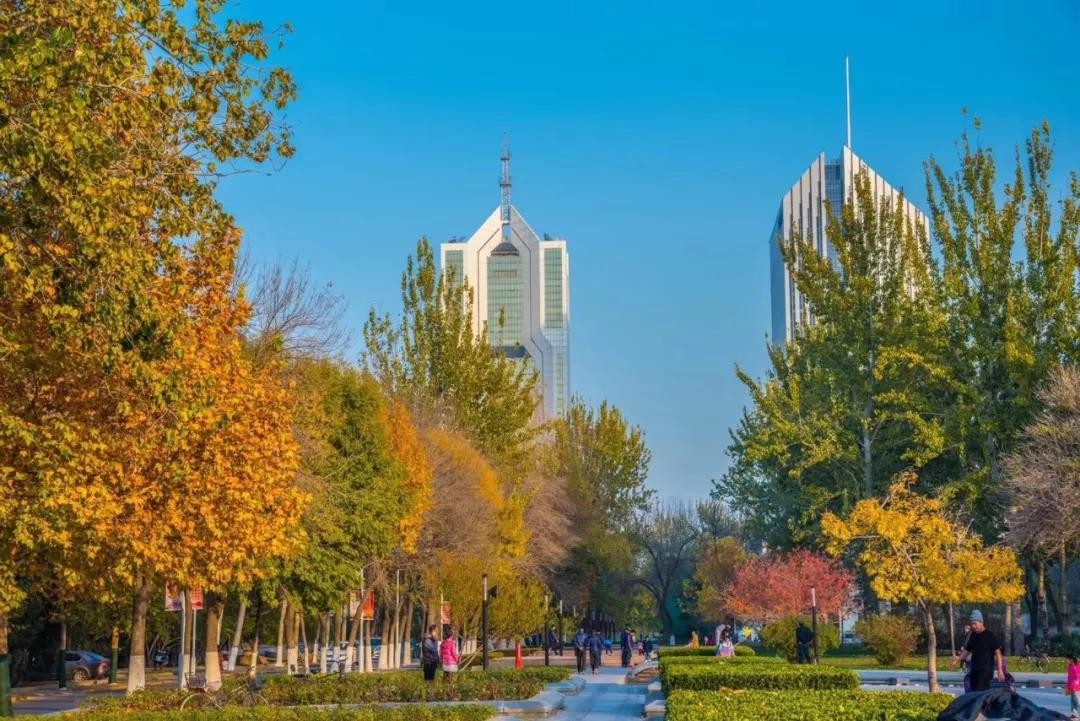 正式发布！在这一领域，天津大学再次“登顶”全国第一，总分遥遥领先！