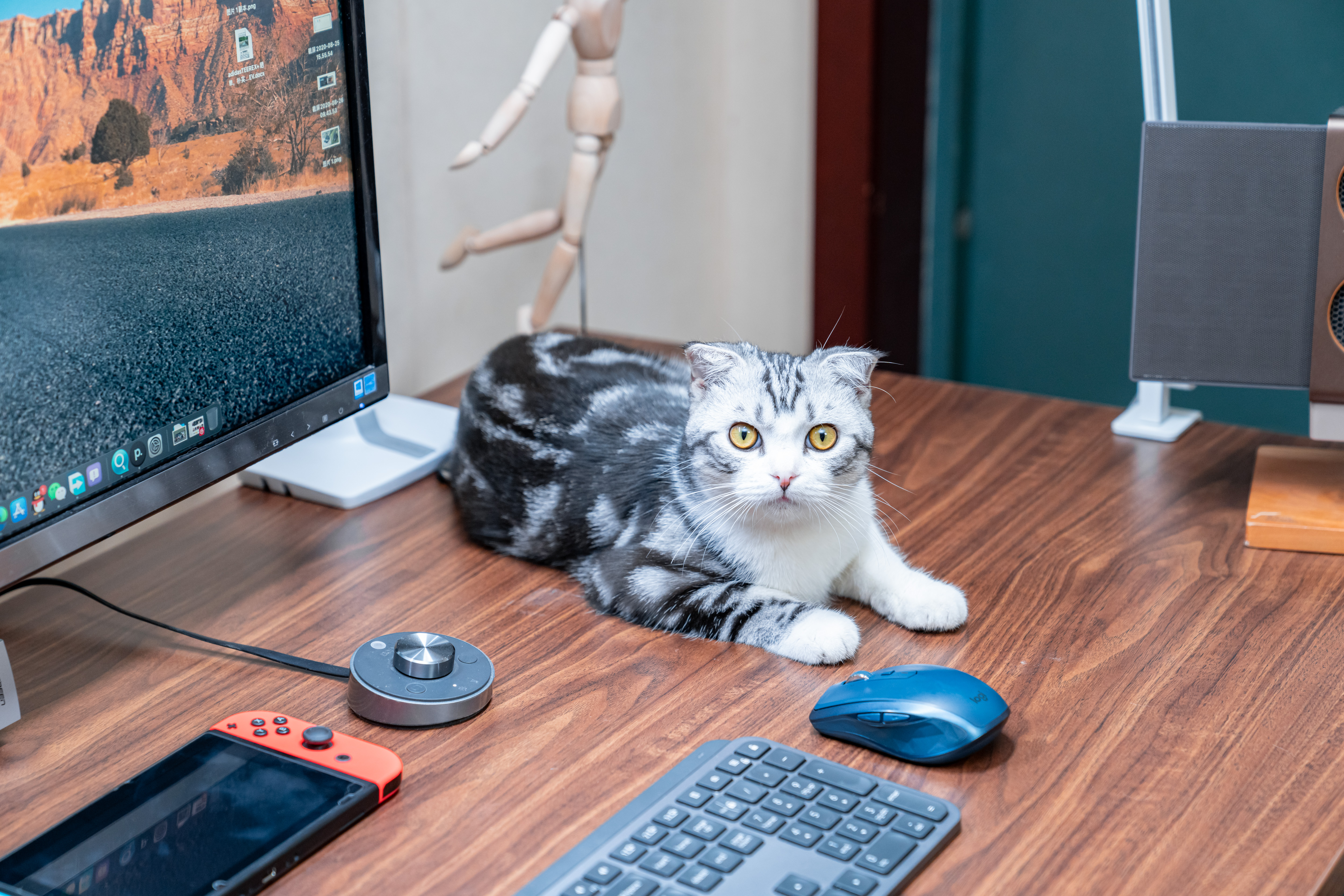 怎样买电动升降桌划算,电动升降桌如何选板材