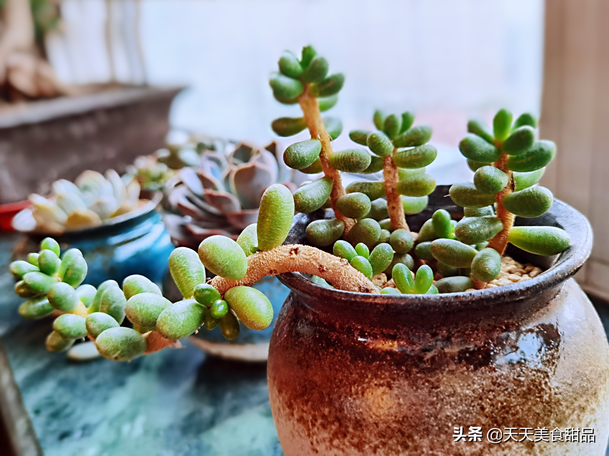 我在锦州的日子，这个周末女儿女婿又骑行