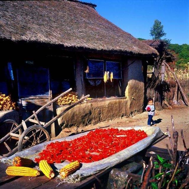 新东北三宝是哪三宝,我国著名的东北三宝是什么