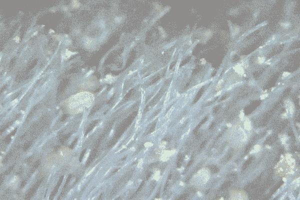 都说头发是女人的第二张脸,都说头发是女人第二张脸文案