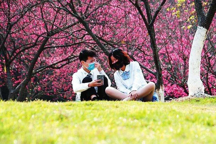 泰安免费公园和踏青好去处,准备好了吗带你畅游河南