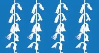 环境工程水处理中超滤膜技术应用,污水处理池如何选择生物填料好