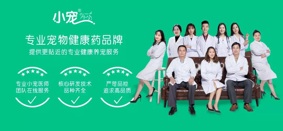 怎样给宠物驱虫以及驱虫的好处,宠物医生驱虫