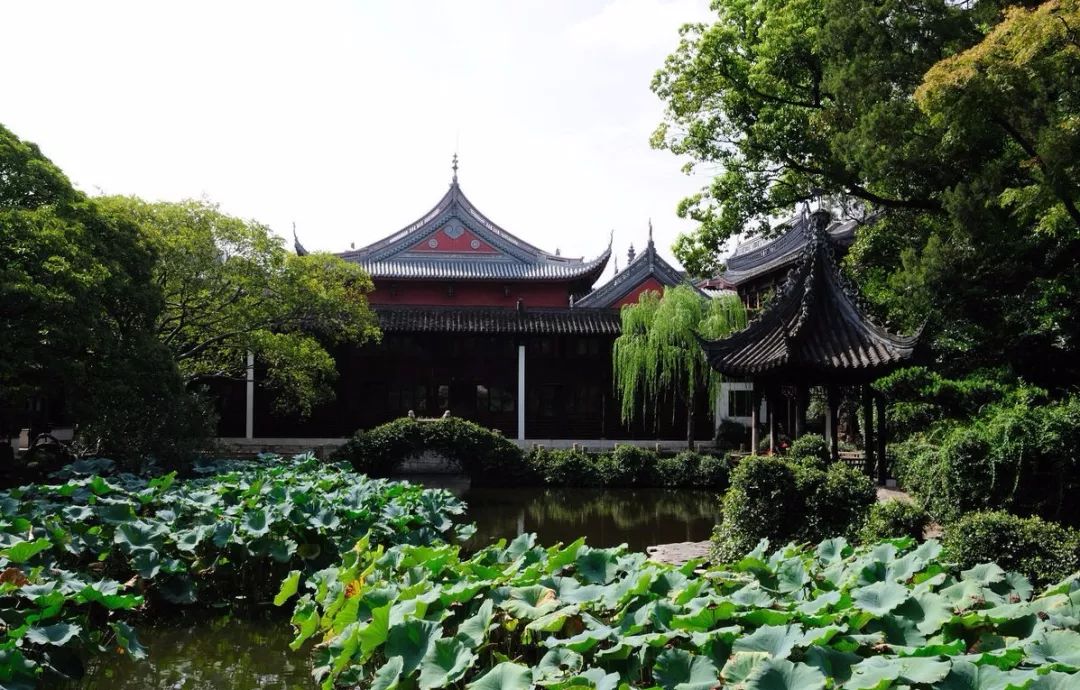 青浦曲水园最好玩的地方,青浦游玩好评排行榜