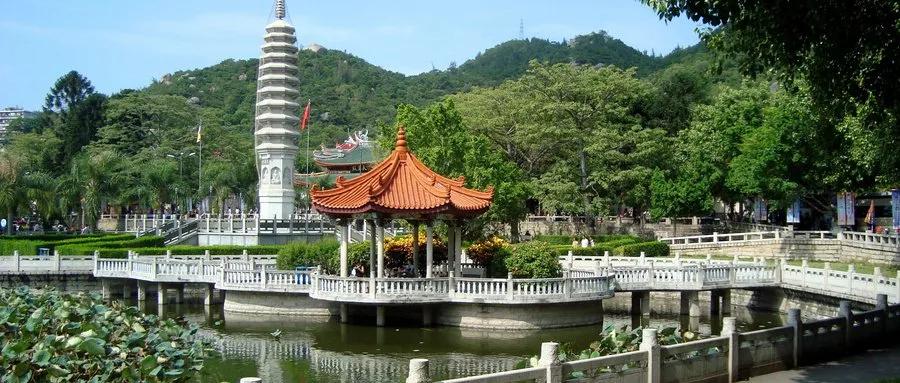 厦门看荷花哪里好,厦门荷花观赏地