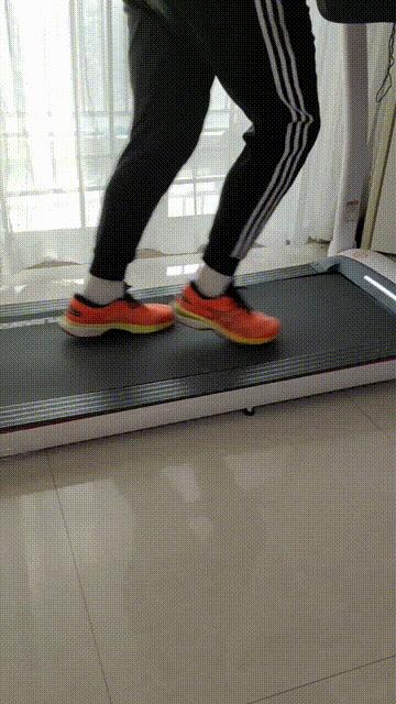 在家也能好好健身,宅在家也能健身