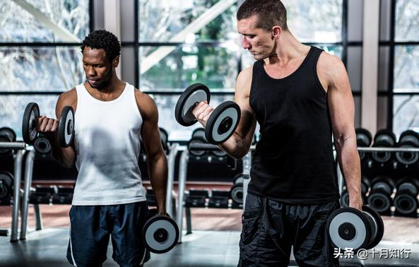 哑铃健身锻炼动作大全,哑铃健身动作锻炼方法