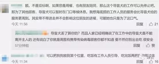 女子带导盲犬进海底捞被拒,盲人和导盲犬吃海底捞迷路
