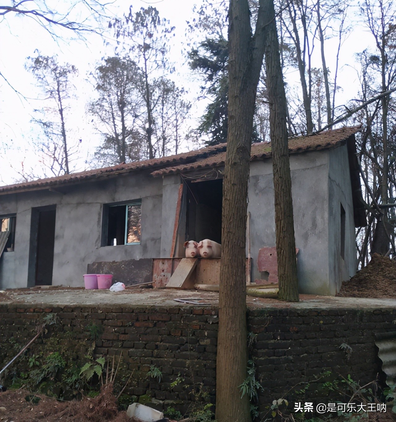 「沙雕图」垂死“棺”中惊坐起，打牌竟然不叫我