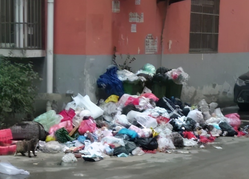 百强物业公司排名2021,2024年物业百强榜