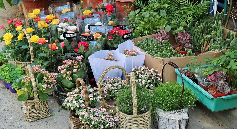 <html>
<head><title>502BadGateway</title></head>
<body>
<center><h1>502BadGateway</h1></center>
<hr><center>nginx</center>
</body>
</html>
<!--apaddingtodisableMSIEandChromefriendlyerrorpage-->
<!--apaddingtodisableMSIEandChromefriendlyerrorpage-->
<!--apaddingtodisableMSIEandChromefriendlyerrorpage-->
<!--apaddingtodisableMSIEandChromefriendlyerrorpage-->
<!--apaddingtodisableMSIEandChromefriendlyerrorpage-->
<!--apaddingtodisableMSIEandChromefriendlyerrorpage-->
